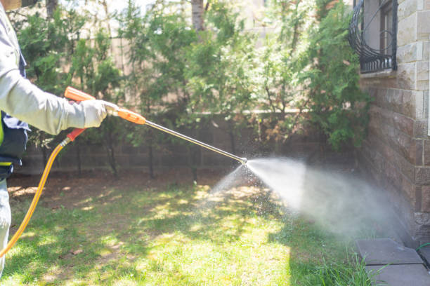 Lawn Pest Control in Throop, PA